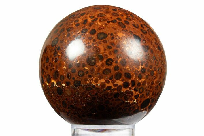 Polished Bauxite (Aluminum Ore) Sphere - Russia #316271